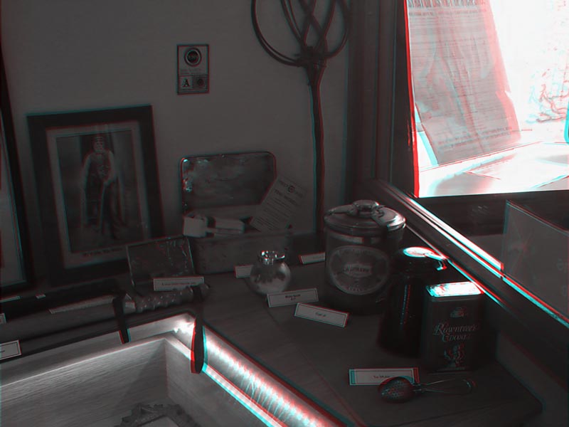 winky seeds 3d