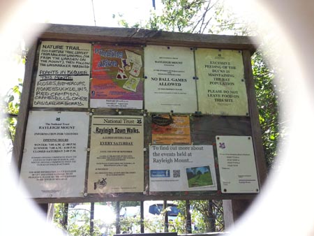 board