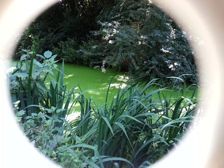 green waters