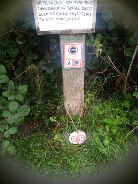 watsone pole