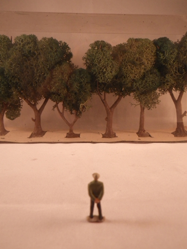 the last arboretum